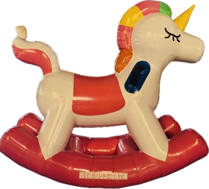 Jeux gonflablesIMG_1972.jpeg;