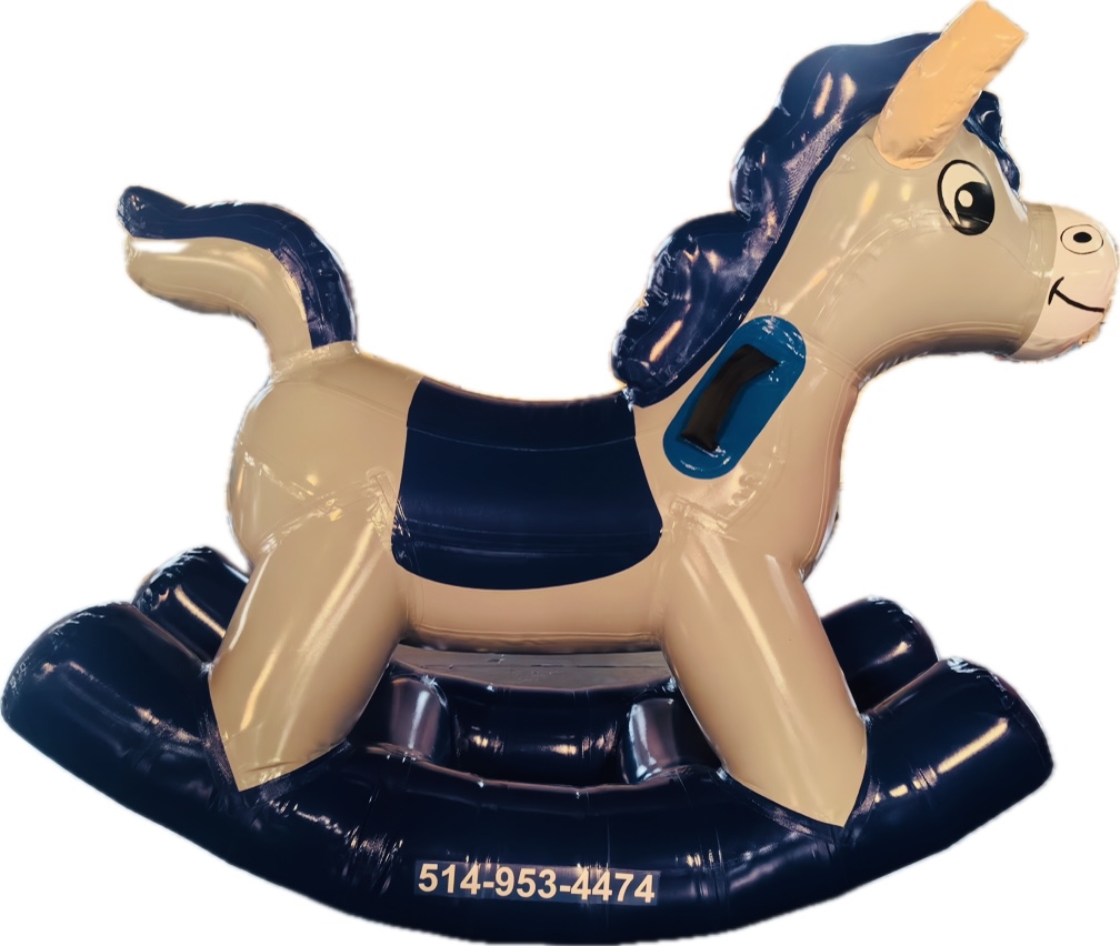 Jeux gonflablesIMG_1973.jpeg;